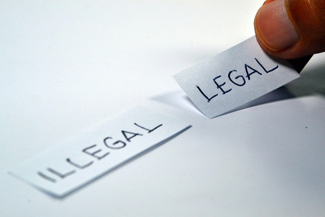 Legal icon